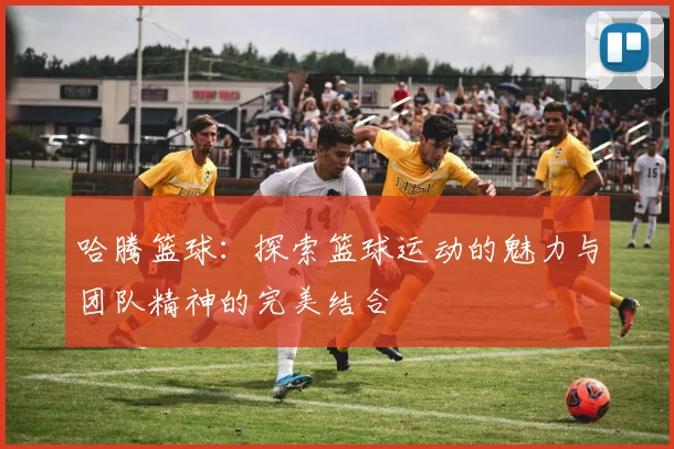 哈腾篮球：探索篮球运动的魅力与团队精神的完美结合