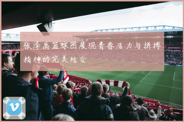 张泽禹篮球图展现青春活力与拼搏精神的完美结合
