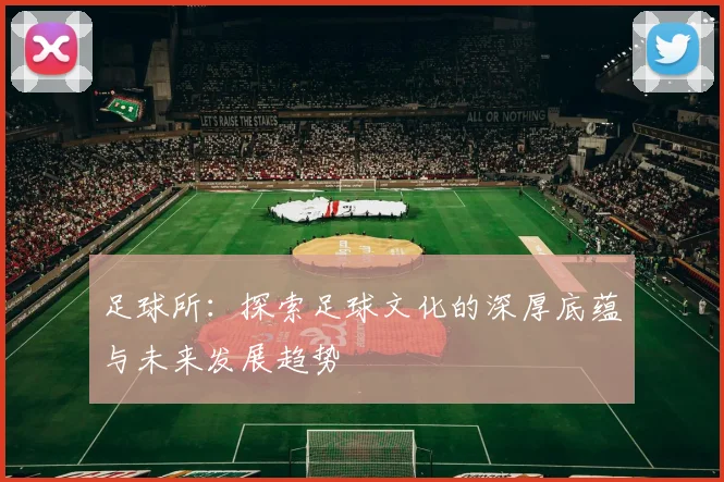 足球所：探索足球文化的深厚底蕴与未来发展趋势
