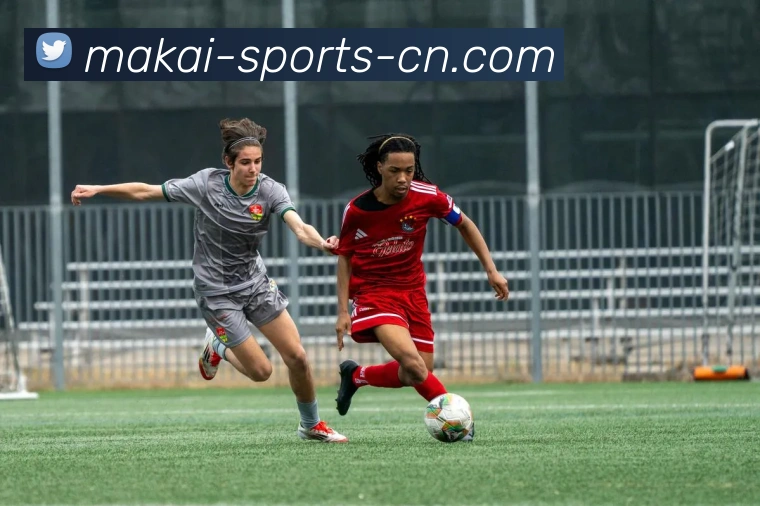 官方APP下载平台生态图